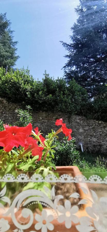 La Maison De Jardin Lucca Bagian luar foto