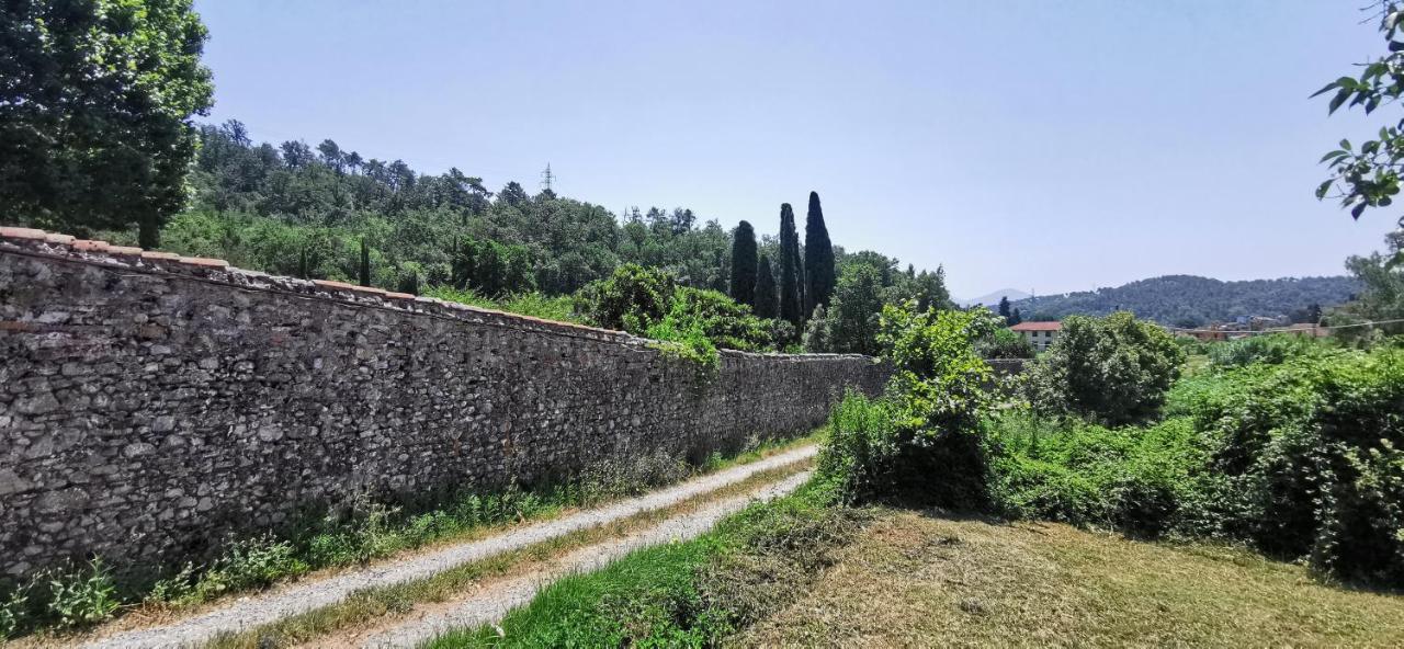 La Maison De Jardin Lucca Bagian luar foto